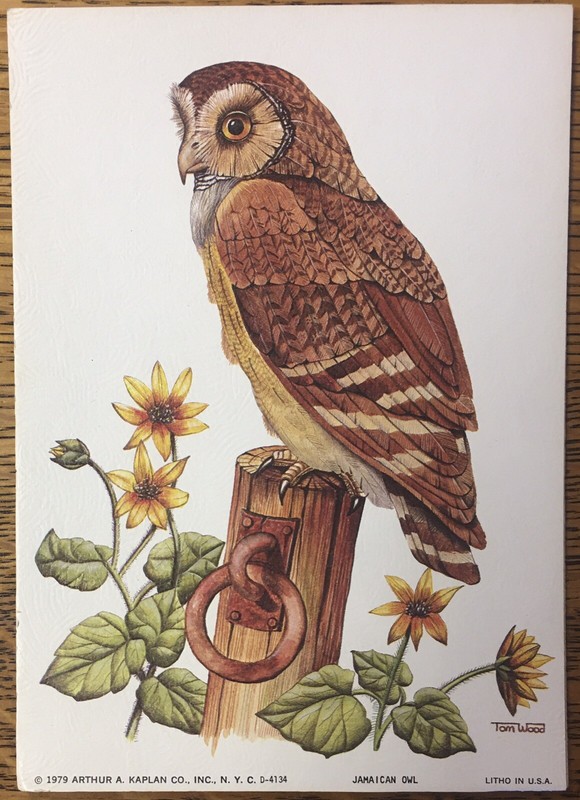 Arthur A. Kaplan Co. 1979 Jamaican Owl Litho Print, Vintage, 5×7 on Cardboard