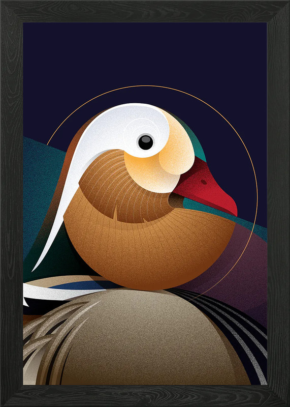 Geometric Mandarin Duck Illustratio Framed Wall Art Poster Canvas Print Picture