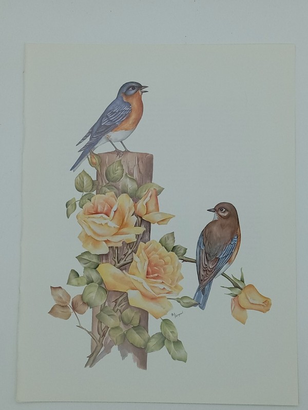 Vintage Art Print New York State Bird & Flower Bluebird & Rose