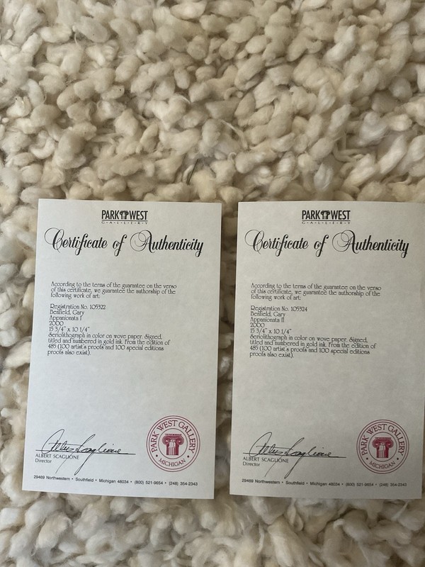 Gary Benfield "Appanionata I & II”. Set Of 2. Framed, Numbered & Authenticated. gallery