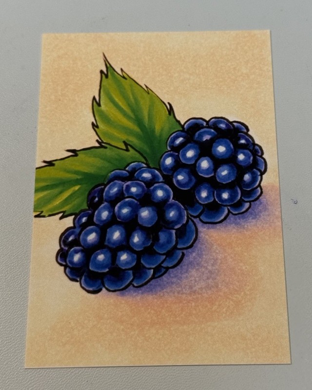 ACEO Art PRINT “Blackberries” Mini Collectible Art 2.5 x 3.5 Inches