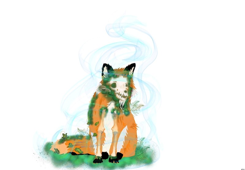Fox Digital Drawing Physical Art Prints Original Art Poster 5×7 Print