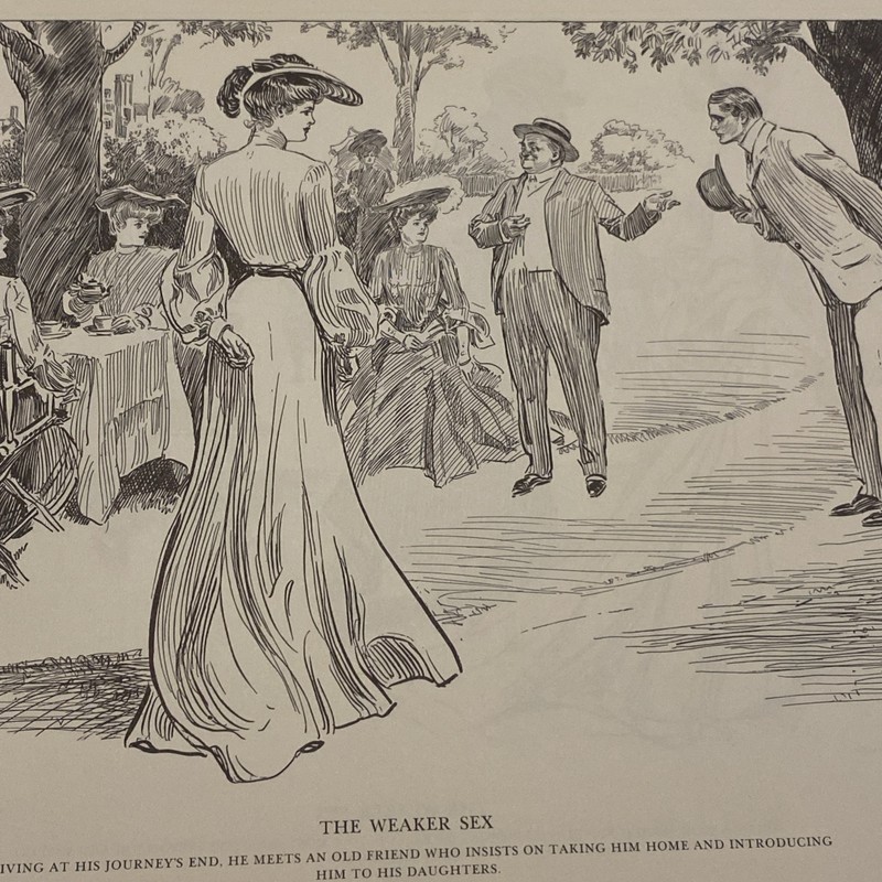 1900’s Antique Art Print THE WEAKER SEX GARDEN PARTY Charles Dana Gibson Girls