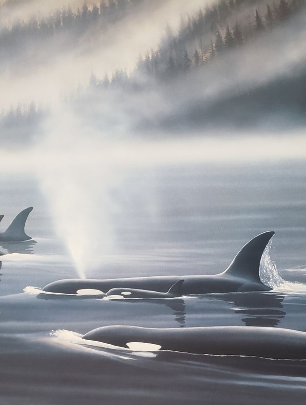 Wyland Orca Realm 1995 Nature cares for the soul Killer Whale Pod Art Poster New gallery