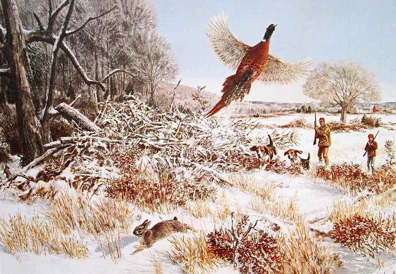 Father and Son Hunters, Beagles Hunting Pheasant and a Rabbit by Kuhn