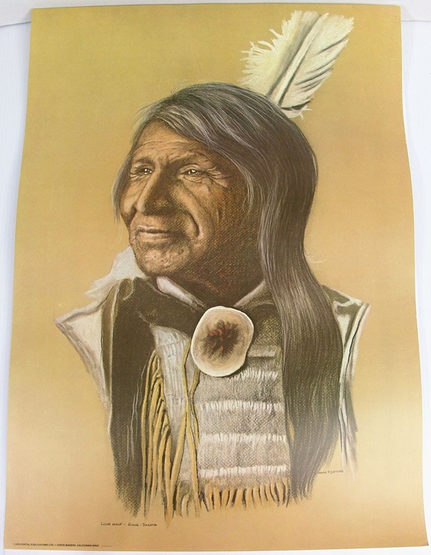 Vtg 1976 Lone Wolf Sioux Indian Native American Print Hans Luetcke – 20×28