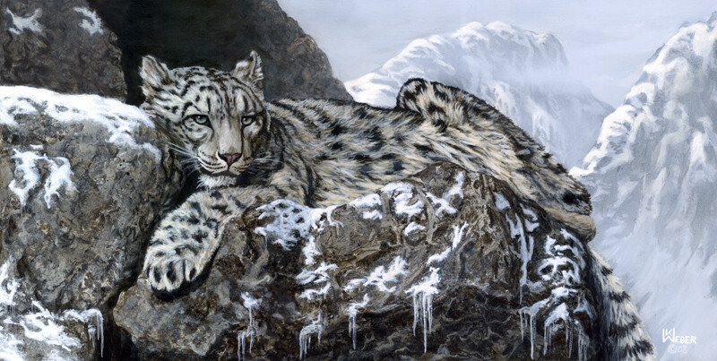 SNOW LEOPARD WILDLIFE ART CANVAS PRINT