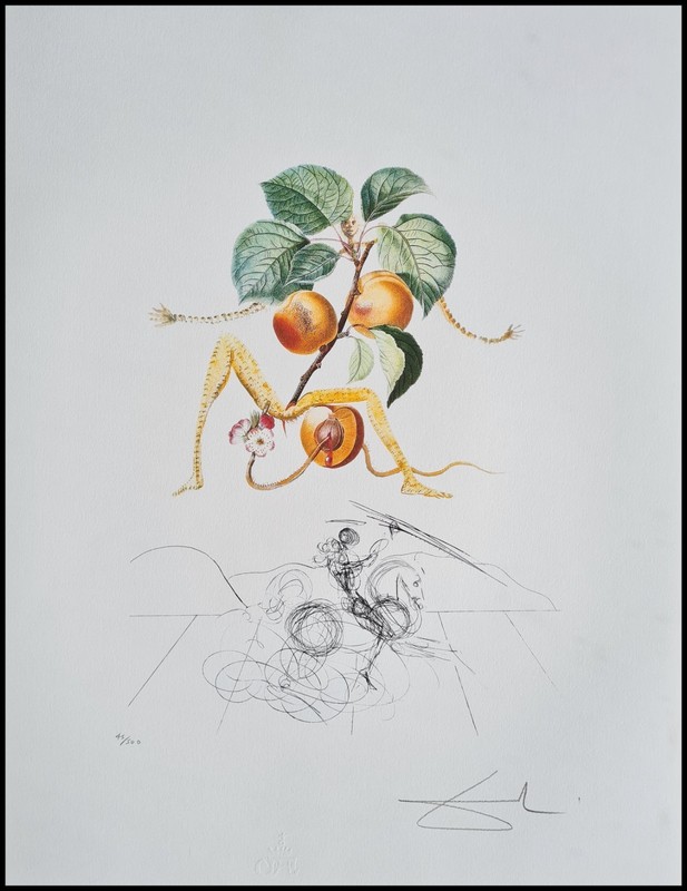 Salvador Dali Apricot Knight Signed Lithograph 45/500 65 x 50 cm