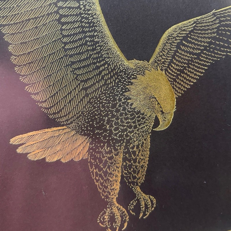 Vintage 1983 Paul M Breeden Gold Foil Bald Eagle Art Print Framed 16x20 Black gallery