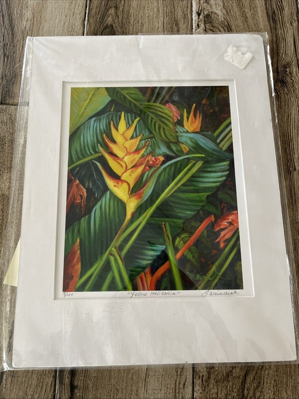 Bird of Paradise Heliconia Print J. Heinrich Hawaii Matted 12” X 16” MINT Signed