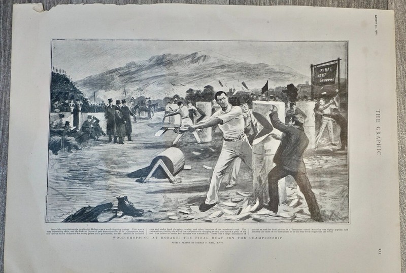 Vintage print, Wood-chopping, 1901, 40.2 x 20.3 cm.