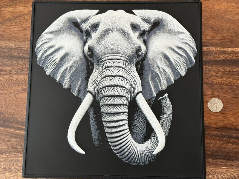 Majestic Gaze 3d Image - Up to 12 inch - Multiple Versions -Wall Hanger Included gallery