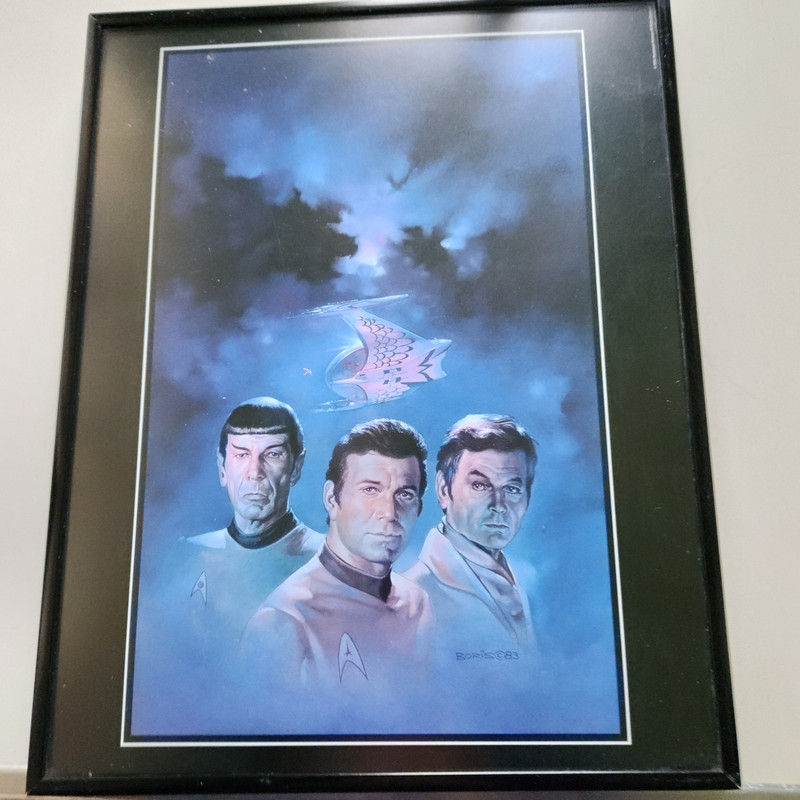 The Web Of The Romulans Art Print Star Trek Novel Cover Art Boris Vallejo Vtg