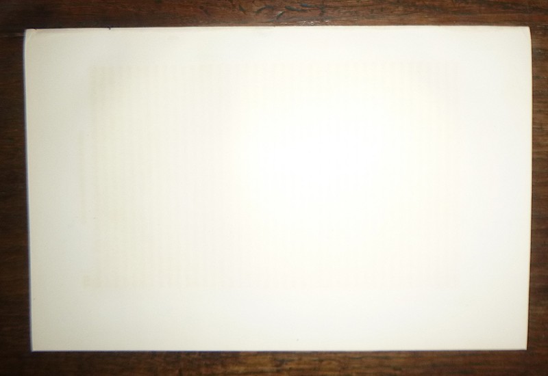 Audubon Octavo GREAT WHITE HERON Birds of America original hand colored litho gallery