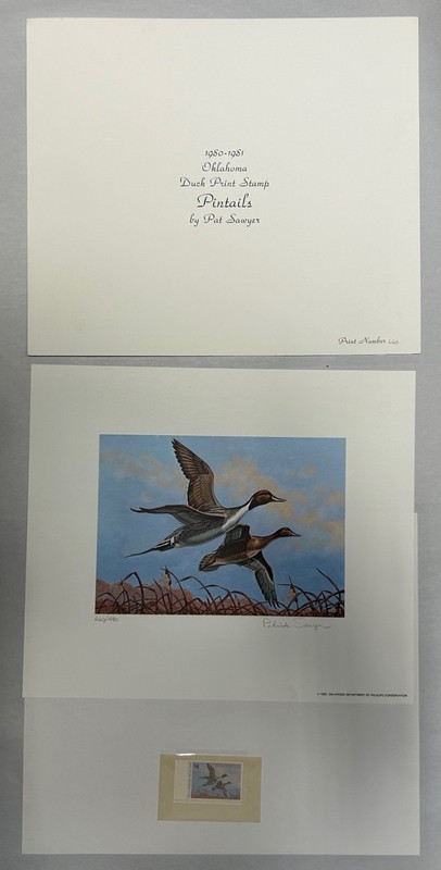 Vintage Pat Sawyer Signed Duck Pintails Waterfowl Print And Stamp (A8)