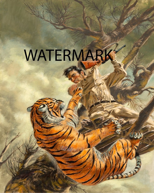 Tiger Attacks Man Tom Beecham 13″x19″ Africa REPRO Adv Mag Cover Hunt Leopard