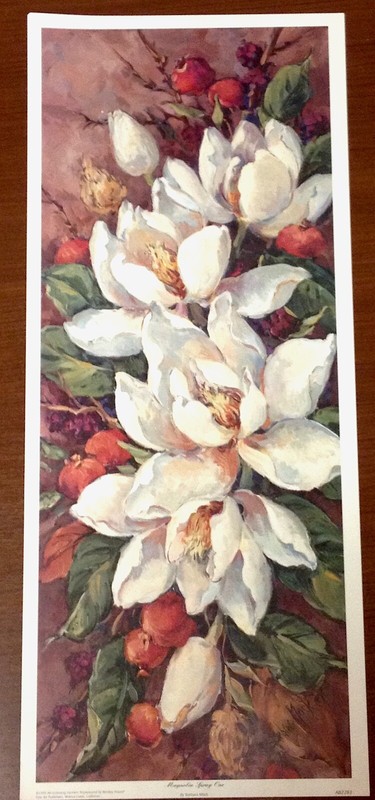 Barbara Mock «Magnolia Spray One” Print Size: 10 1/2» X 25”, code: BMMSO10X25
