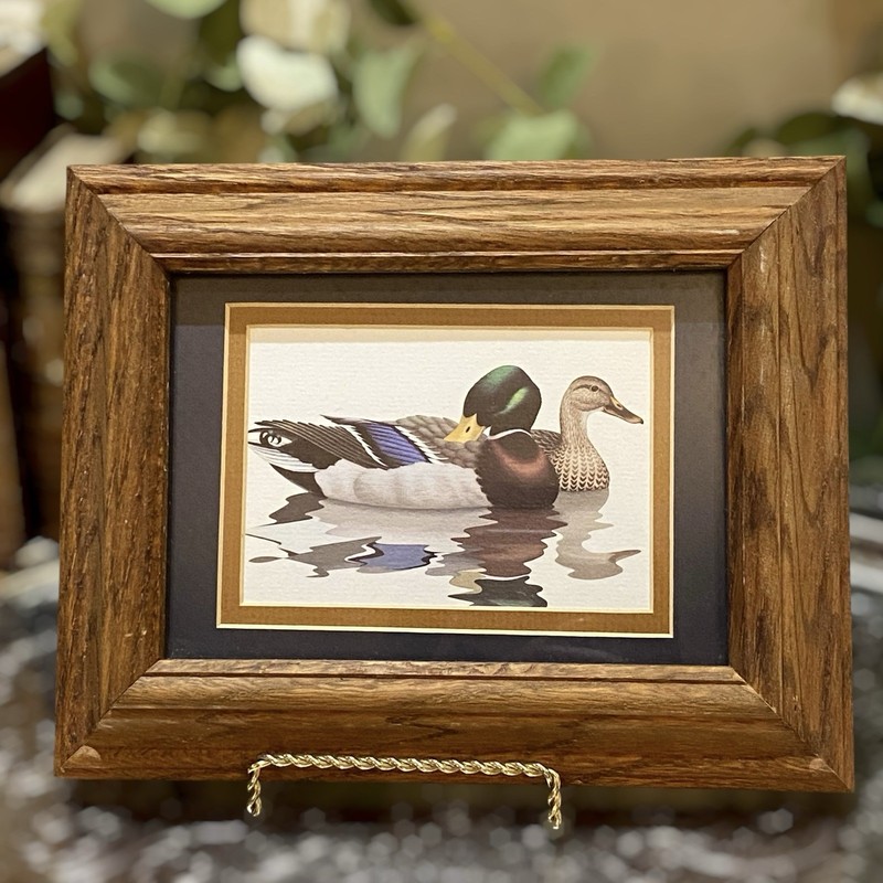 Vintage Mallard Duck Print Wood Framed under Glass gallery