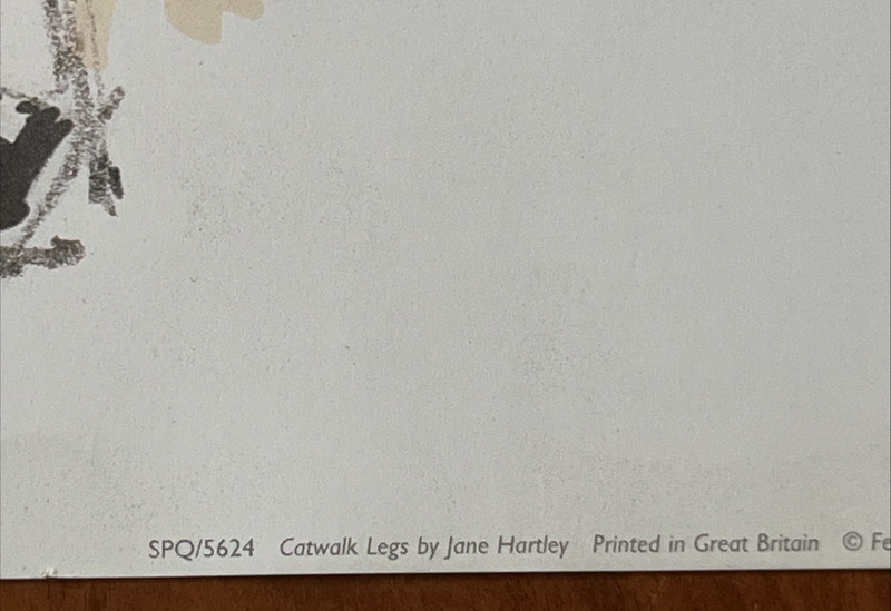 Jane Hartley Catwalk Legs Art Print 24" x 16" gallery