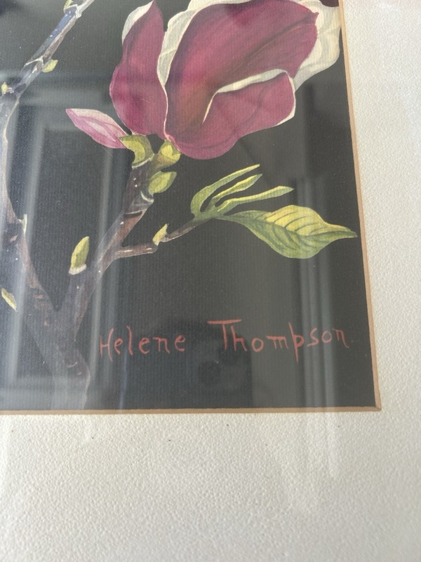 Vtg Mid Century 1950’s 60’s Magnolia Floral Lithograph Print Helene Thompson gallery
