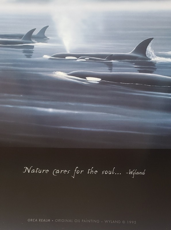 Wyland Orca Realm 1995 Nature cares for the soul Killer Whale Pod Art Poster New gallery