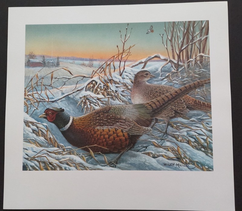2004 Wisconsin Pheasant Stamp Print by the late Wiley Miller – signed in plate