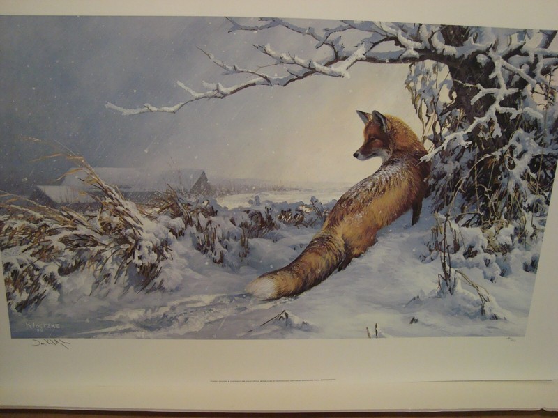 Don Kloetzke Storm’s Tail End. Unframed Fox Print S/N
