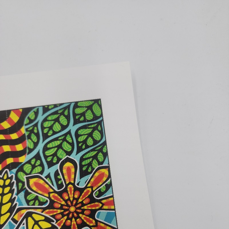 Rick Sinnett "This Land " signed blotter art print limited edition gallery