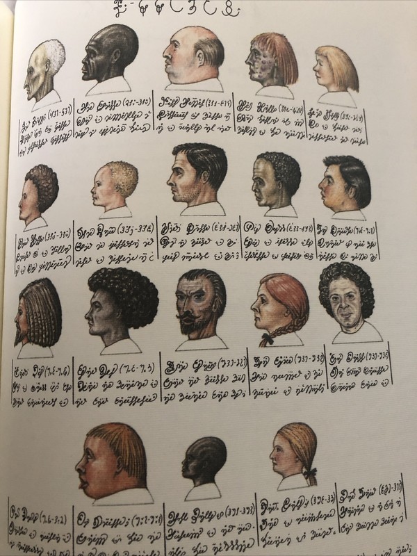 Luigi Serafini Codex Seraphinianus Print 164B 13″ x 9″ Unframed