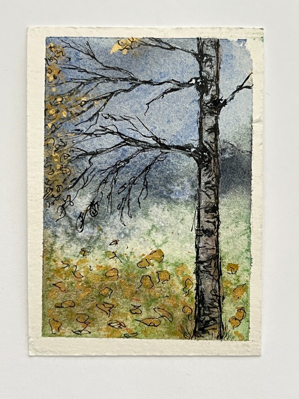 ACEO Original Watercolor Ink Gold Silver Metallic Birch Tree Night Landscape Sig