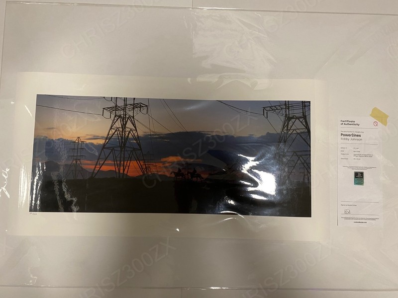 The Last of us Part II 2 Powerlines Ellie Joel Legacy Poster Giclee 37 COA 10×24