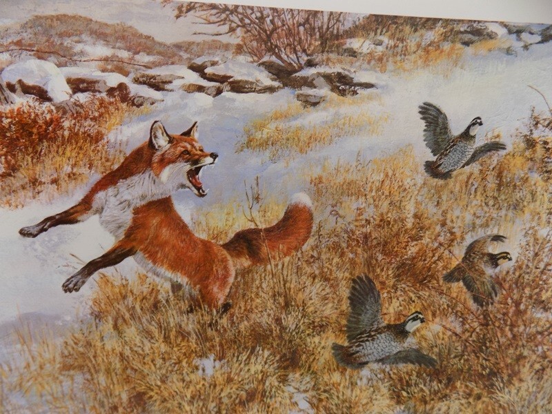 Vintage Tom Beecham Fox & Quail Wildlife Art Print 11″x14″ w/ 1 Inch Border