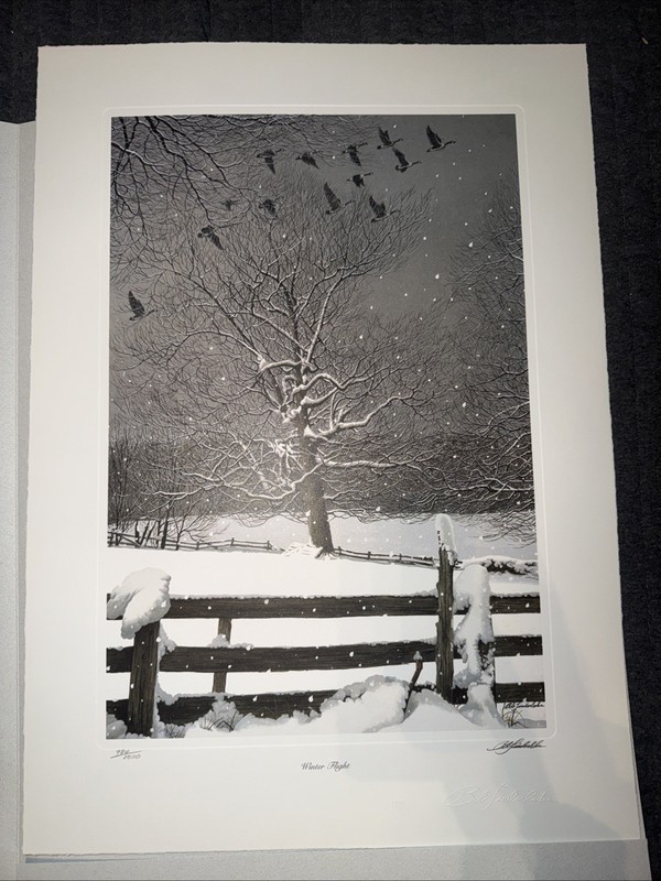 “Winter Flight” By Bob Timberlake. Special Limited Edition Reproduction