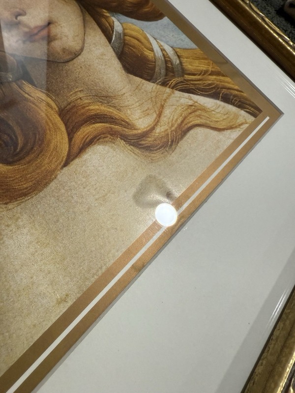 ⚜️ The Birth Of Venus 1991 French Lithograph Print Framed ⚜️ gallery
