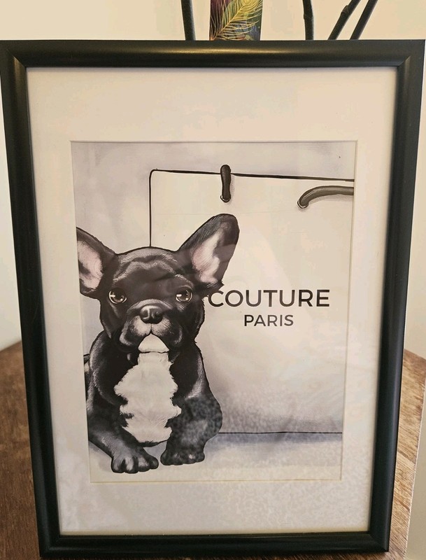 ‘Frenchie Couture’ by ‘The Oliver Gal Artist Co. Wall Art Collection Home Decor