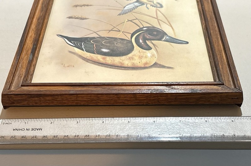 Carol J Latta Framed Duck Print Mallard Waterfowl Wildlife Art Rustic Wood Frame gallery