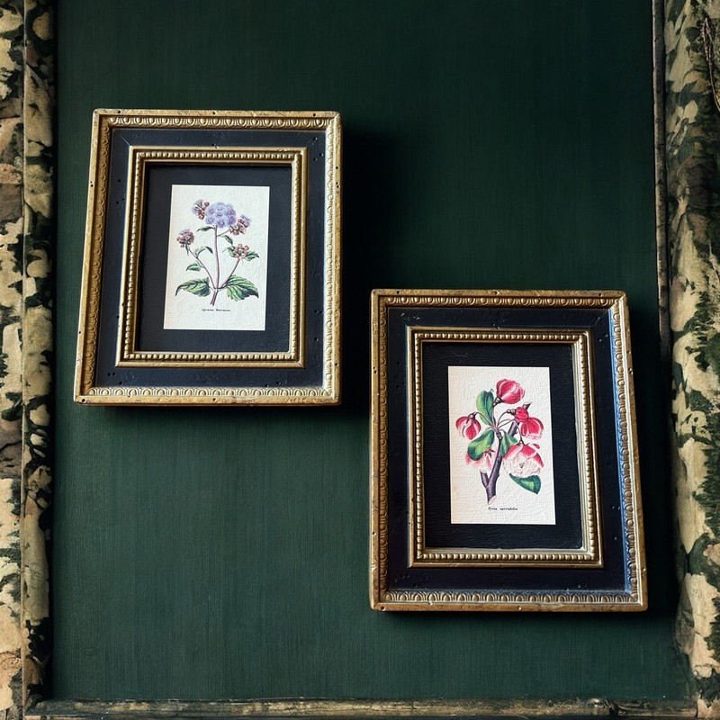 Navy Blue Gold Frame Art Set Lot 2 Vintage Gallery Wall Miniature Prints Burwood