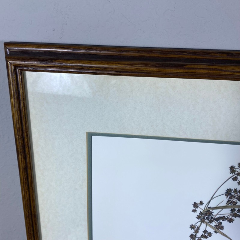 Brenda Carter Marsh Wren & Sedge Hand-Colored Print 43/195 Framed 24x27.5 Bird gallery