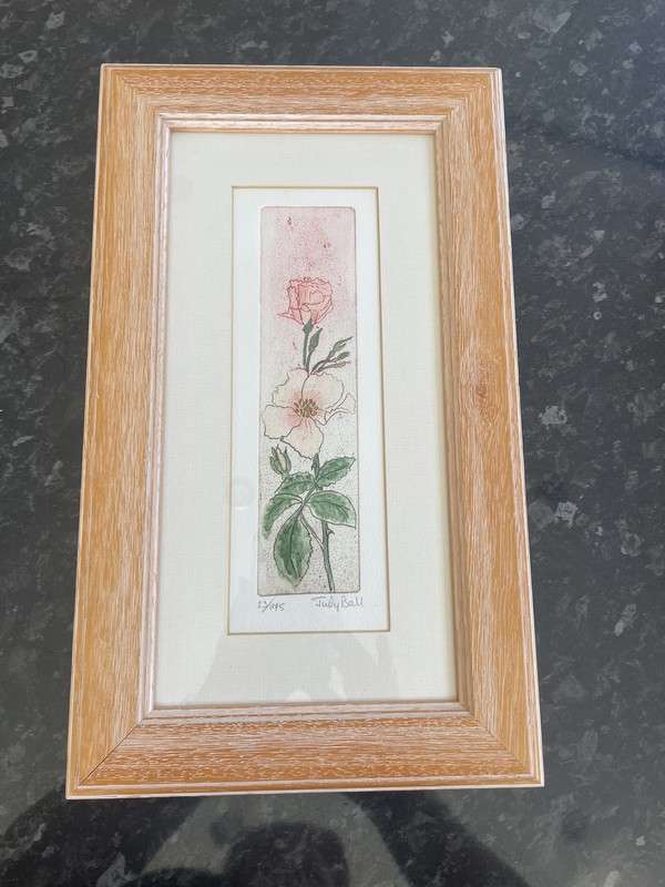 Judy Ball Limited Edition Etching 23/175 Flowers Picture 22cm X 37cm