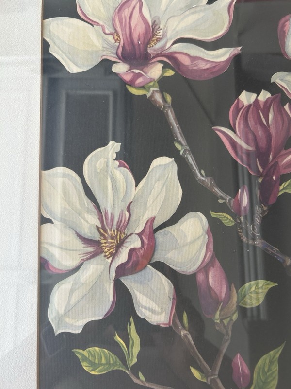 Vtg Mid Century 1950’s 60’s Magnolia Floral Lithograph Print Helene Thompson gallery