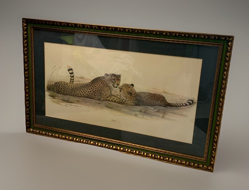VTG Richard Evans Younger 1972 Cheetah Signed Lithograph Mat / Framed Art 49×31”