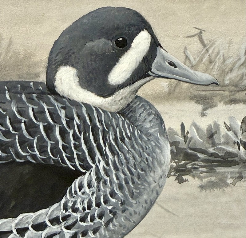 Louis Agassiz Fuertes Original Vint. Bird/Duck Art Painting, Signed, Framed gallery