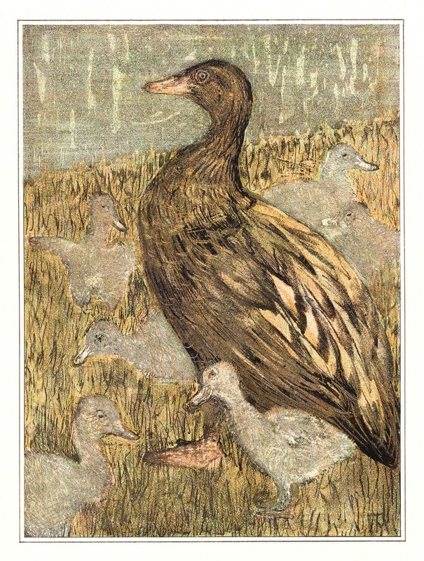 Eend met kuikens bij waterkant by Theo van Hoytema Art Print