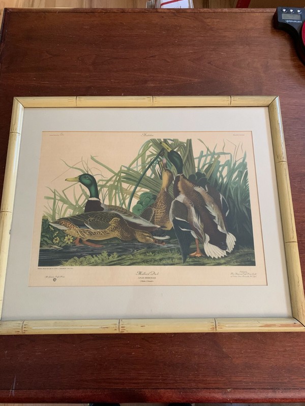 THE AMERICAN CRAFT PRINT GUILD LTD EDITION No. E315 AUDOBON MALLARD DUCKS PRINT