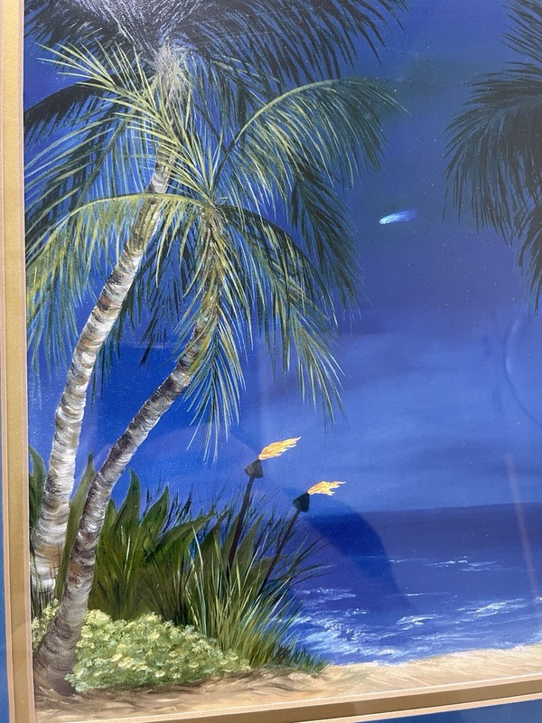 Julie Taylor Hale-Bopp Comet Passing Through Paradise Maui Hawaii Signed Print
