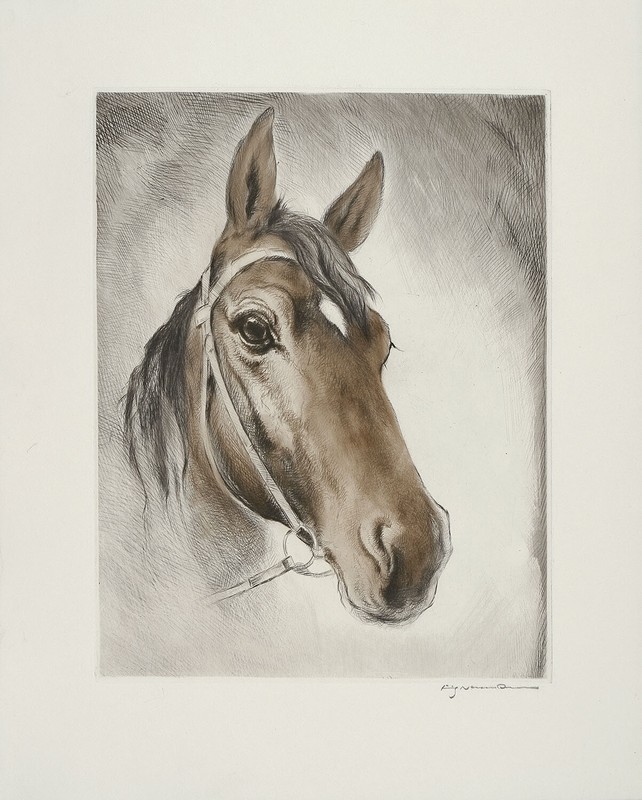 FRITZ NEUMANN (AKA RIC) SIGNED Vtg XRare 1960s Etching of Horse Equine «LISSY»