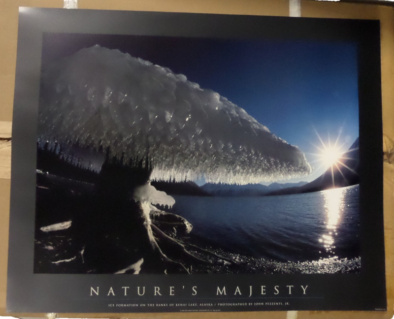 Vintage 24x30 Poster Print John Pezzenti Jr Natures Majesty 1998 JP0705