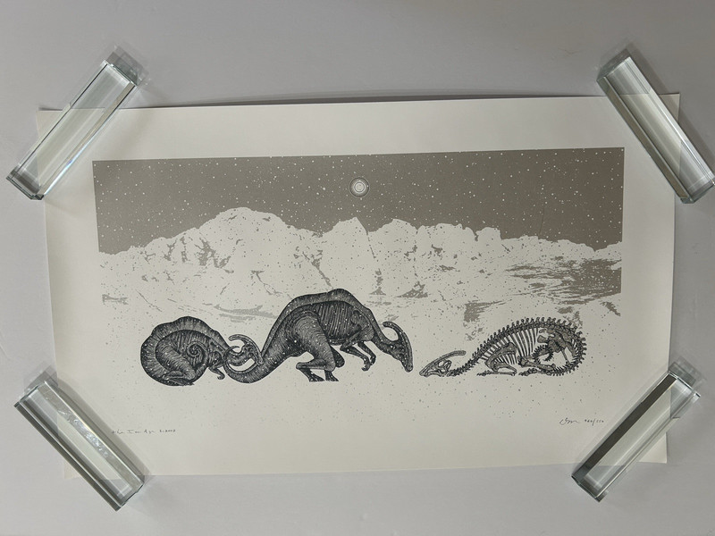 The Ice Age Dan McCarthy 2008 Limited Screen Print Poster 462/550 Signed NM