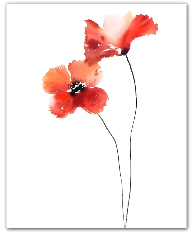 Botanical Airy Red Poppy Stems Red Poppy 8×10 Floral Print Wall Art Poster