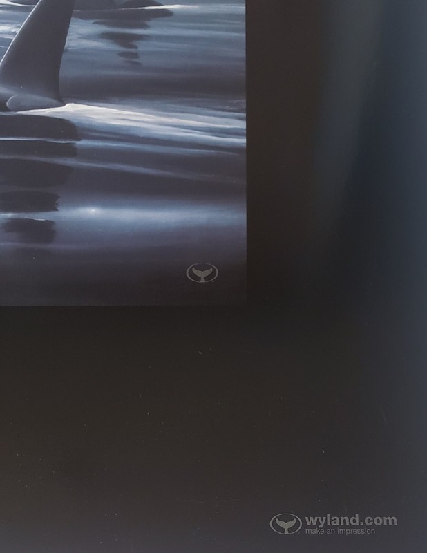 Wyland Orca Realm 1995 Nature cares for the soul Killer Whale Pod Art Poster New gallery
